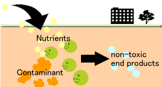 Biostimulation